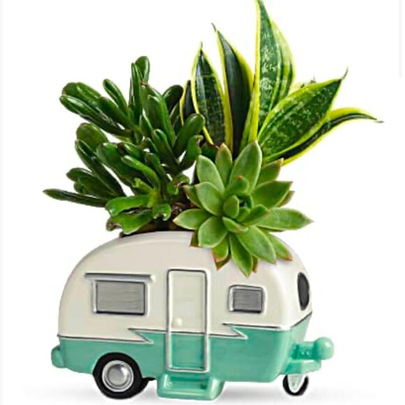 Teleflora Retro Road Tripper Planter - Classic Design with Beige & Green Color - Picture 7 of 7